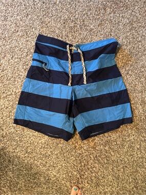 Patagonia Blue and Navy Wide Stripe Swim Shorts
